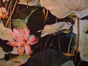 Water Lily #1 